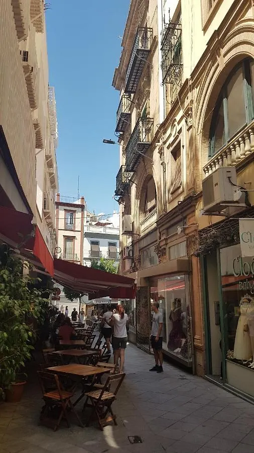 Loft Con Encanto En Casa Palacio Junto Catedral Wifi Seville Apartment