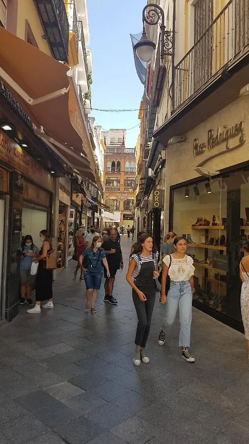 Apartment Loft Con Encanto En Casa Palacio Junto Catedral Wifi Seville Spain